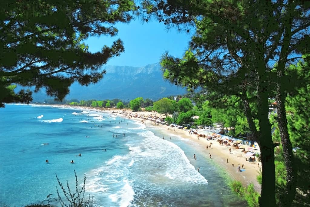 Pine trees and mountain view at Golden Beach -best beach in Thassos island Greece