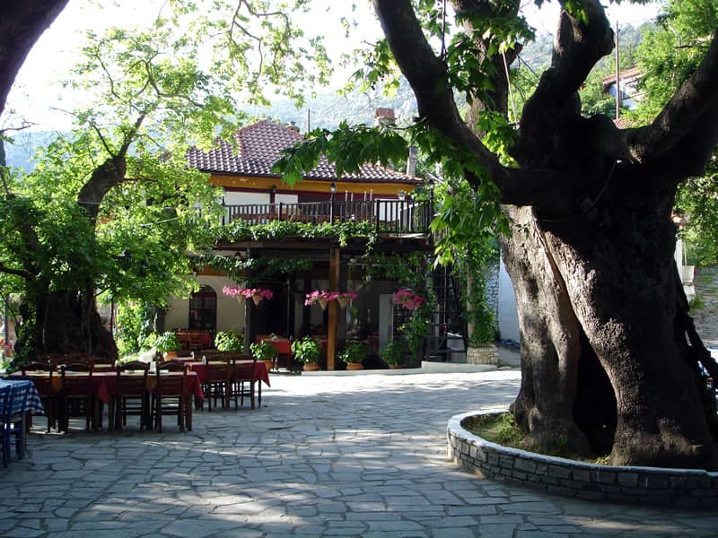 thassos day trips to Kazaviti village square with plane trees abd tables