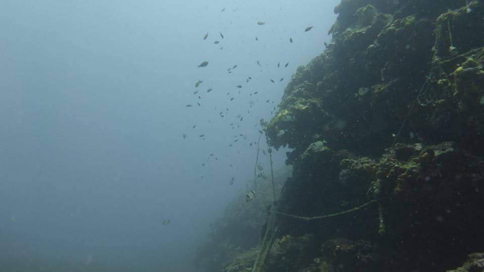 sea bottom in thassos