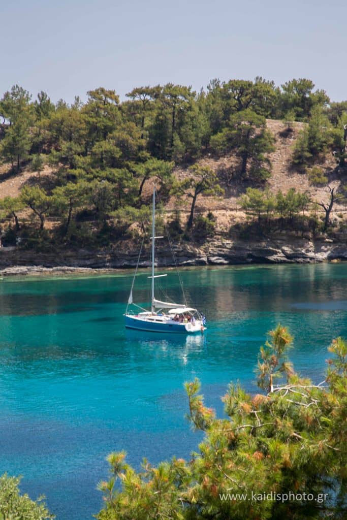 pine trees and Aeolus yacht at Aliki Beach
