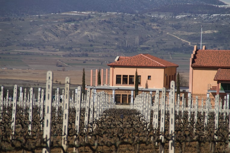 Alpha estate winery